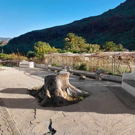 Casa De La Eterna Primavera San Bartolomé Dış mekan fotoğraf