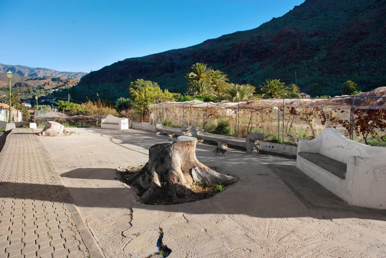 Casa De La Eterna Primavera San Bartolomé Dış mekan fotoğraf